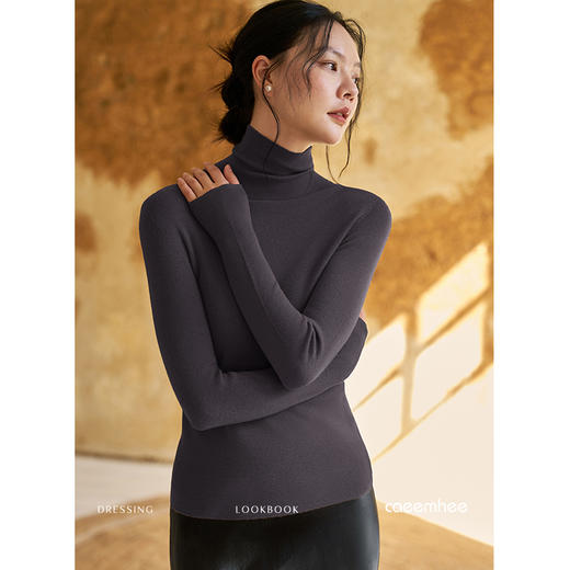 KY01751-D	卡益高领羊毛衫 商品图5