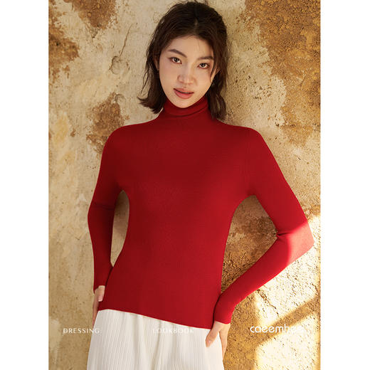 KY01751-D	卡益高领羊毛衫 商品图7