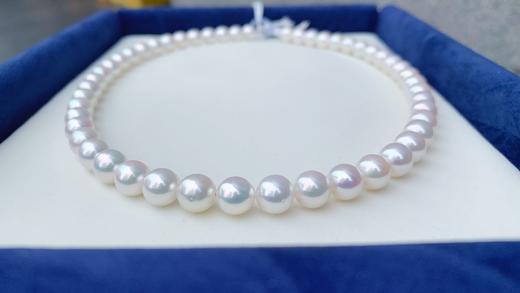 8-8.5mm akoya珍珠项链 商品图2