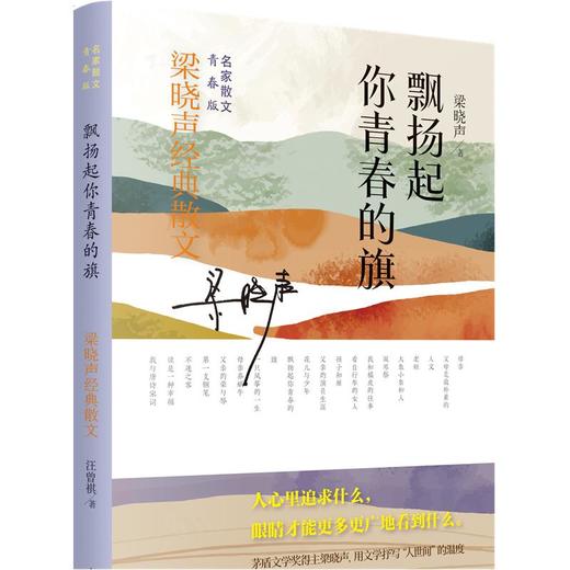 飘扬起你青春的旗 商品图0