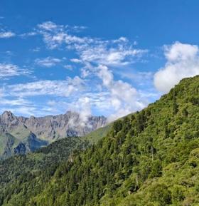 【科普】心率乱、睡不好、情绪崩？小心！这是运动过量的“无声杀手”！