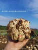 隆回地标【有客瑶来】鲜龙牙百合净片  百搭食材  商品缩略图4