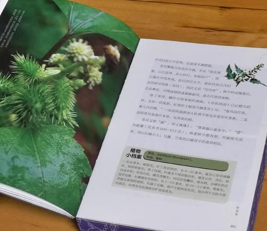 重点推荐！！《诗经植物图鉴》，平装，32开，潘富俊著，九州出版社2025年8月一版一印，616页，定价98元，售价78.4元。 商品图11