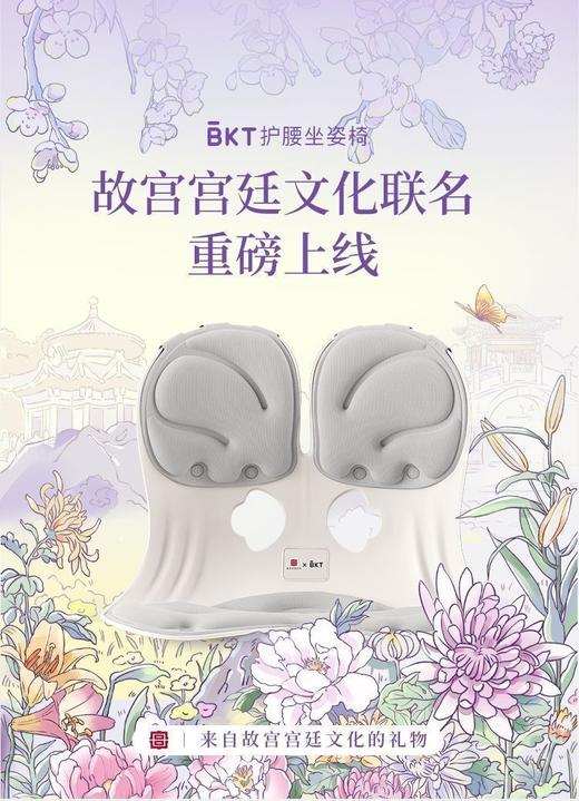 BKT护腰坐垫靠垫背部成人脊柱侧弯儿童纠正神器调整坐姿学生椅加大款 商品图1