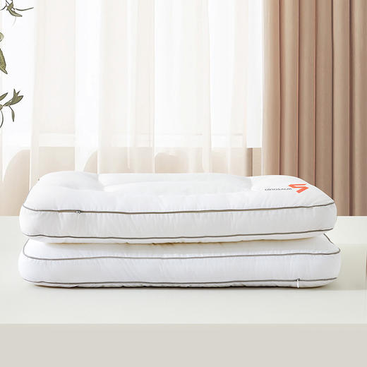 恐龙 5号草本分区调节枕-40×65cm 商品图1