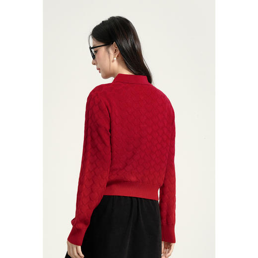 【商场同款】诗凡黎polo领套头针织衫2025春冬新款上衣3FC130011 商品图4