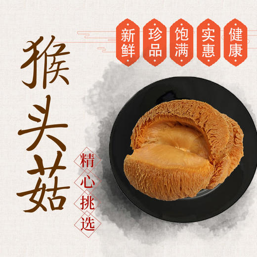 【兴合吉供】猴头菇100g*2袋 商品图0