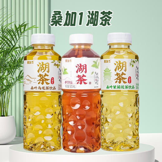 桑加1 桑叶乌龙丨桑叶红茶丨桑叶茉莉花茶饮品500ml 商品图0