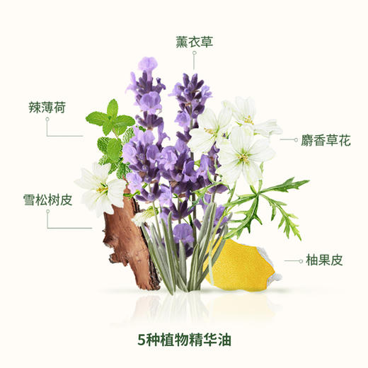 3253581768723 欧舒丹L'OCCITANE 【滋养柔顺】控油蓬松丰盈去屑草本护发素男女士防毛躁250ML 商品图3