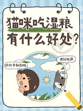 🐾铲屎官速看！猫咪吃湿粮的5大好处🐾