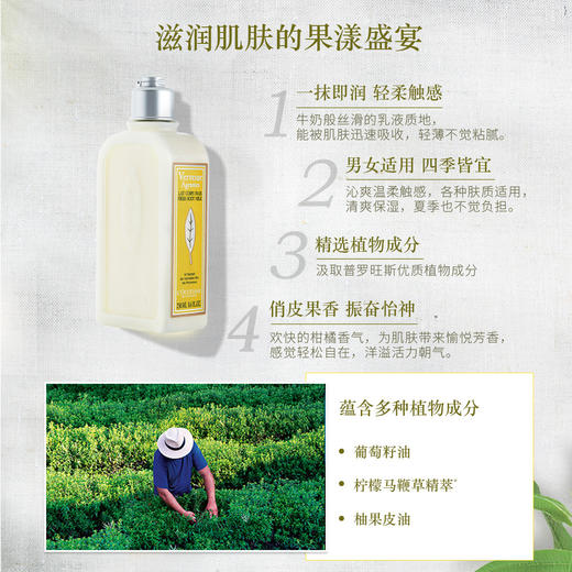 3253581766972 欧舒丹L'OCCITANE 【多种香氛】留香润肤保湿身体乳乳木果玫瑰樱花男女士250ML【果漾马鞭草】 商品图2