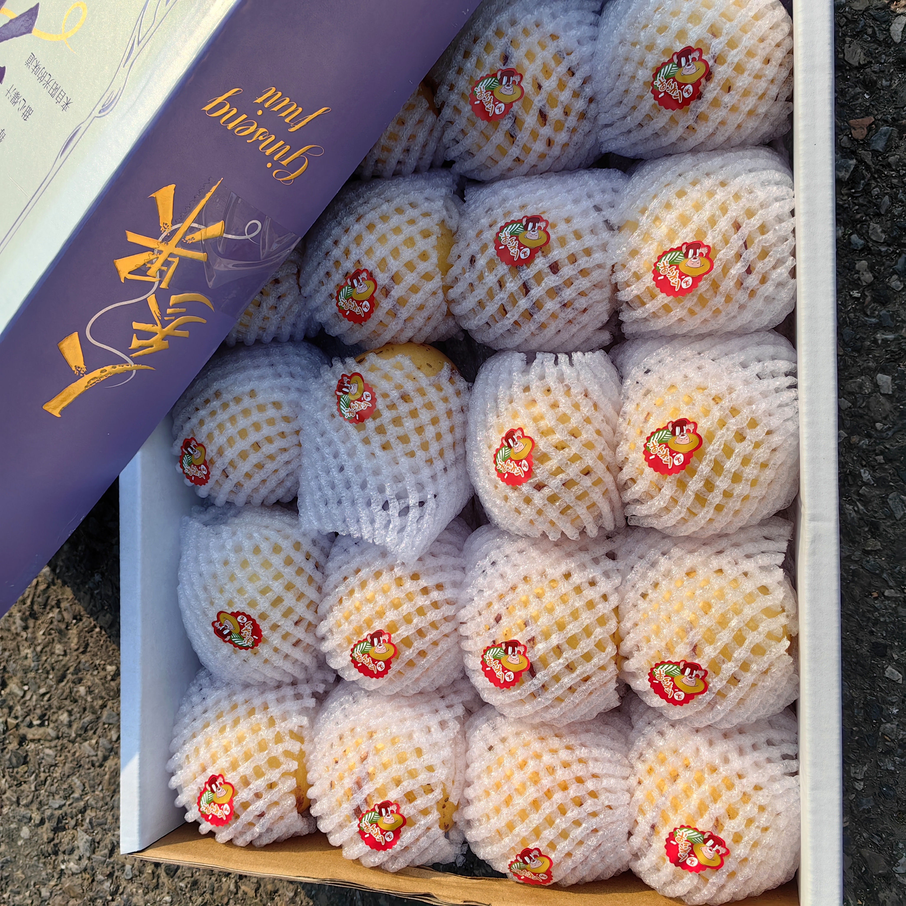 悠选好货当季人参果礼盒补水神器顺丰包邮包装随机下单可咨询客服批次信息