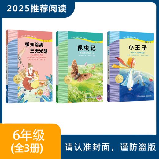 2025年推荐书目（6年级全套/单本）假如给我三天光明+小王子+昆虫记 商品图0