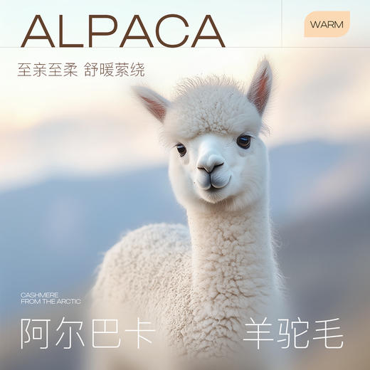 【阿尔巴卡】三彩2025冬季新款双面呢长大衣毛呢外套宽松气质M 商品图2