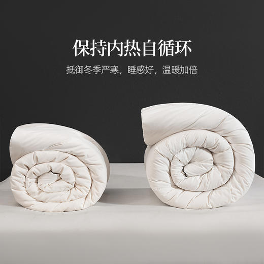 希尔顿羊毛被2.0 | 100%澳洲进口羊毛，吸湿、透气、保暖、舒适，睡眠更安心 商品图4