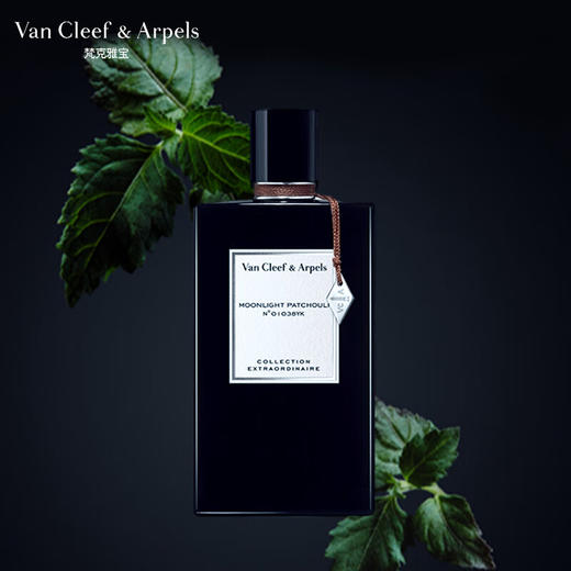 梵克雅宝非凡珍藏系列月光广藿香香水75ml 有效期至29-6 商品图1