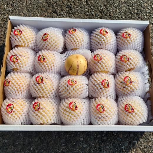 悠选好货当季人参果礼盒补水神器顺丰包邮包装随机下单可咨询客服批次信息 商品图2