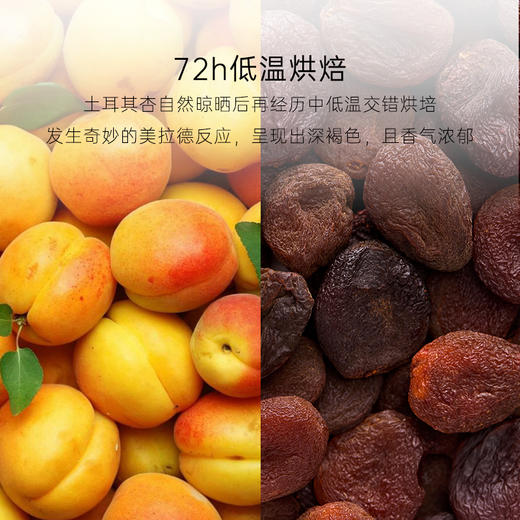 几分之几 土耳其无核杏干 100g*2 商品图2