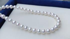 8-8.5mm akoya珍珠项链