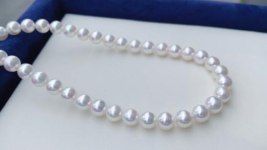 8-8.5mm akoya珍珠项链 商品图0