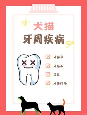宠物口腔牙周疾病科普 | 猫猫狗狗牙不好