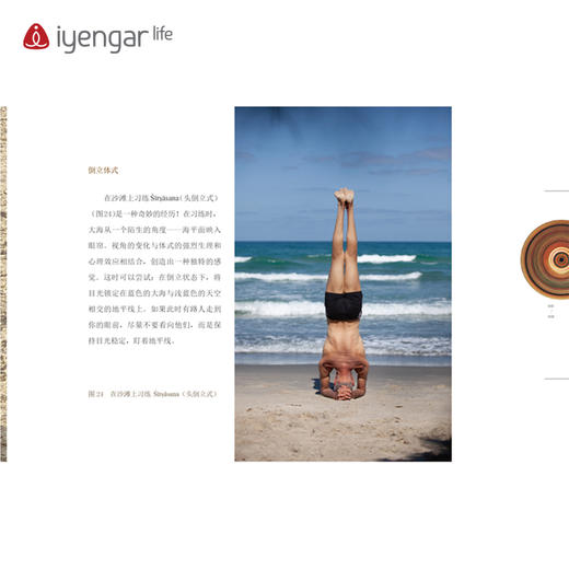 艾扬格 life B1204 师法自然—瑜伽习练与探索  作者:(以)奥哈德·纳克汤米(以)埃亚勒·希弗罗尼 商品图4