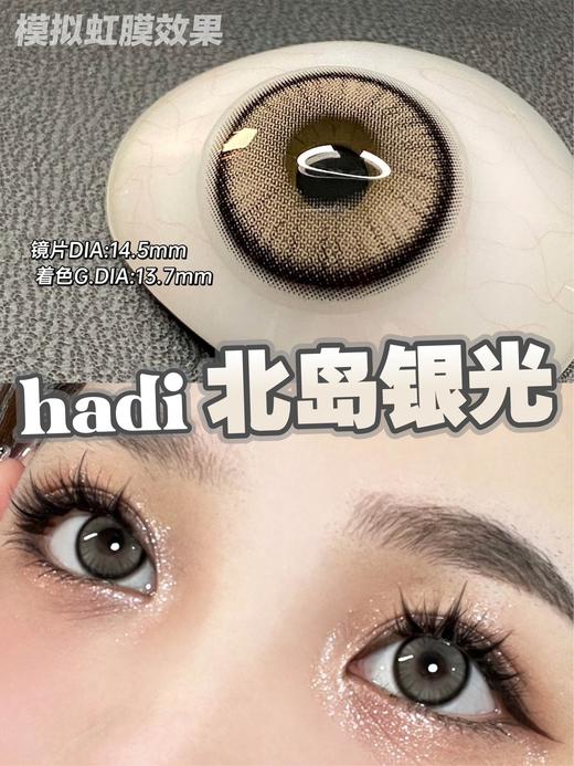 【半年抛】DORAGINA全色板活动合集·14.5mm【度数范围 0-1000度 无525/575】 商品图5