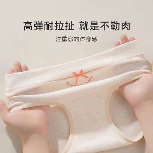 【4条装】10A抑菌纯棉加长裆内裤女舒适0染原棉高弹不夹臀CM-15线条蝴蝶结内裤 商品图6