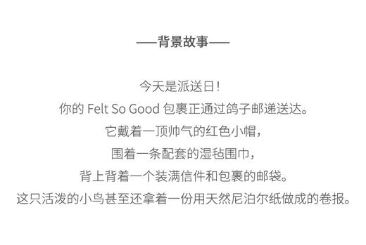 北京仓｜Felt So Good-Pigeon Post-邮递员鸽鸽 羊毛毡 挂件［英国设计师］ 商品图3