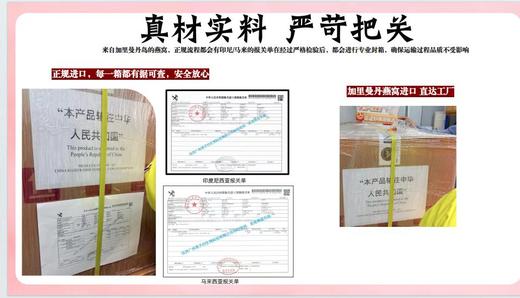 【6盒燕窝饮送焖烧杯+1袋同款试饮+礼袋】 泡小燕燕窝银耳羹冲泡即食冻干燕窝饮 （免费试喝1袋，不满意可以退） 商品图4