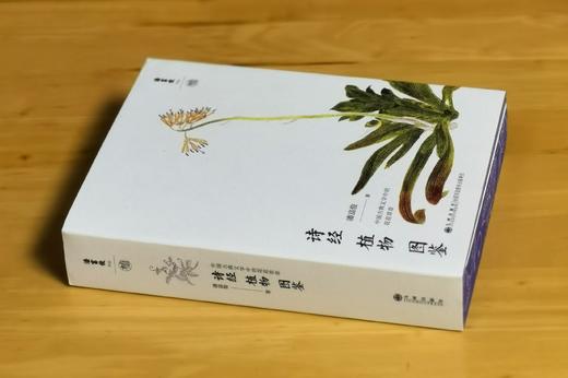 重点推荐！！《诗经植物图鉴》，平装，32开，潘富俊著，九州出版社2025年8月一版一印，616页，定价98元，售价78.4元。 商品图1