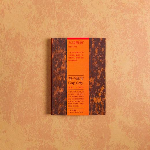 四开《孢子城市 Gap City》！对时代无法停下的焦虑提出解法，找到自己“停下”的动机和方式，或许比目的地更重要，东边野兽×一筑一事 商品图0
