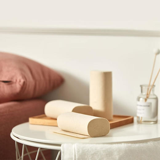 柚家无芯卷纸 30卷/箱 商品图2