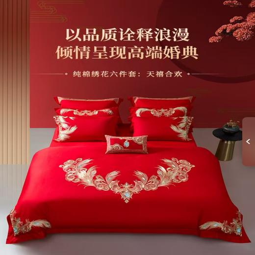 10楼  梦洁婚庆 纯棉绣花六件套 天禧合欢 吊牌价5999活动价3999 商品图0