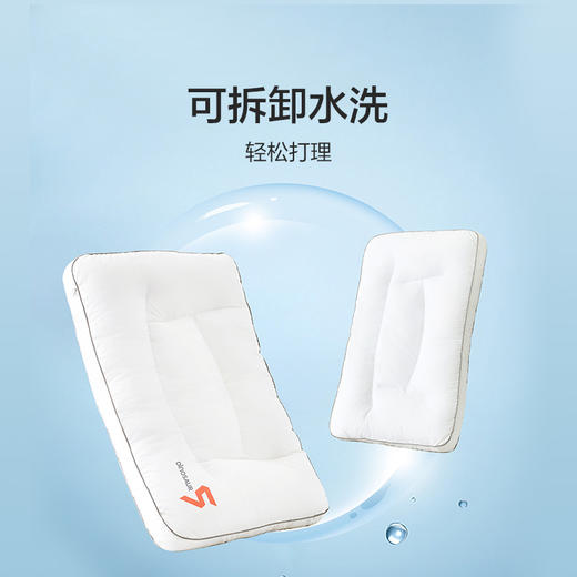 恐龙 5号草本分区调节枕-40×65cm 商品图5