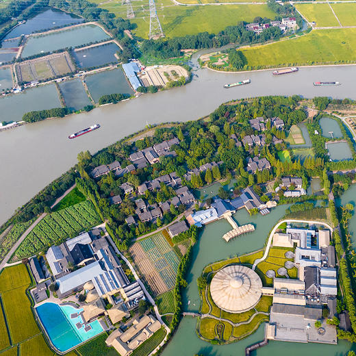 乌镇乌村土鸡蛋农家散养新鲜营养健康绿色食品鸡蛋礼盒 商品图6