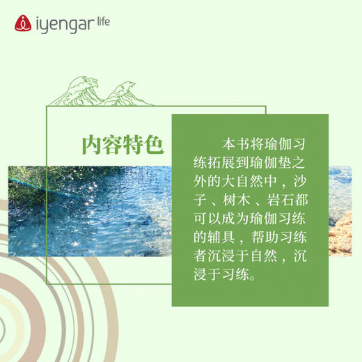 艾扬格 life B1204 师法自然—瑜伽习练与探索  作者:(以)奥哈德·纳克汤米(以)埃亚勒·希弗罗尼 商品图2