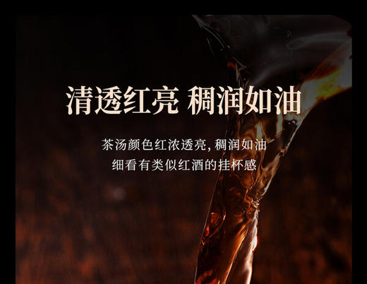 年迹·班章生态茶(熟茶）2019 商品图0