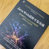 JAVA WEB进阶开发实战：高效编写SPRING BOOT应用框架及类SPRING生态 商品缩略图1