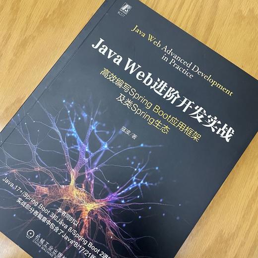 JAVA WEB进阶开发实战：高效编写SPRING BOOT应用框架及类SPRING生态 商品图1