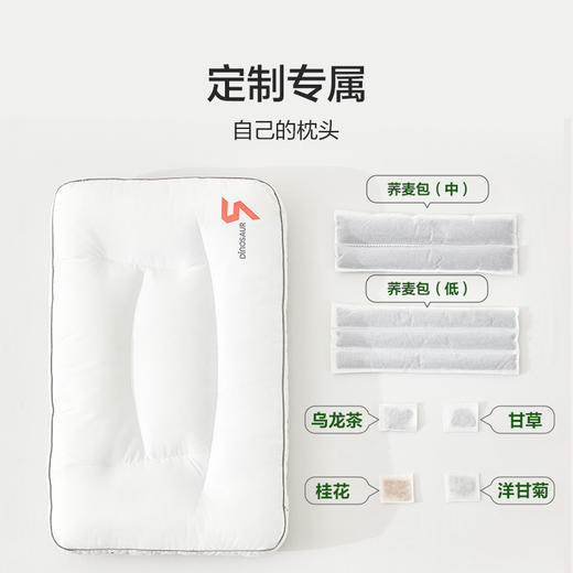 恐龙 5号草本分区调节枕-40×65cm 商品图4