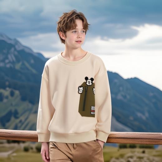 【迪士尼Disneybaby正品卫衣任选2件】男童女童春秋休闲上衣卫衣 商品图4