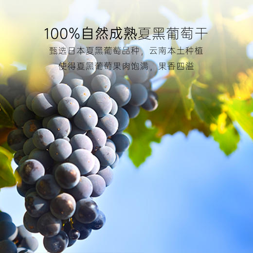 几分之几 夏黑葡萄干 125g*2 商品图1