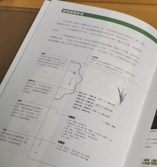 重点推荐！！《诗经植物图鉴》，平装，32开，潘富俊著，九州出版社2025年8月一版一印，616页，定价98元，售价78.4元。 商品图4