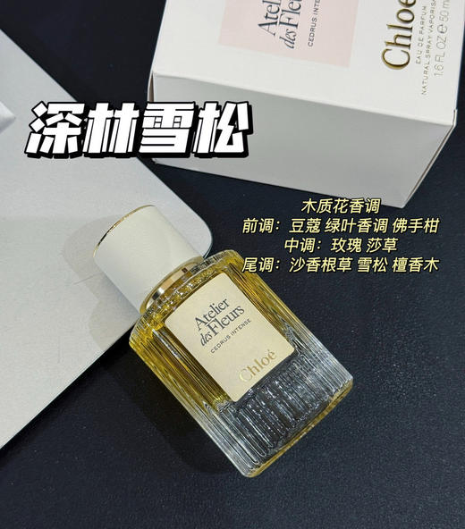 关晓彤同款香水082905 商品图2