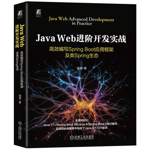 JAVA WEB进阶开发实战：高效编写SPRING BOOT应用框架及类SPRING生态 商品图0
