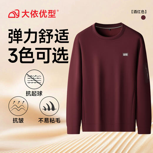 【DK】大依优型大码百搭圆领卫衣秋季新款男士加肥加大码圆领长袖T恤男卫衣弹力 商品图4