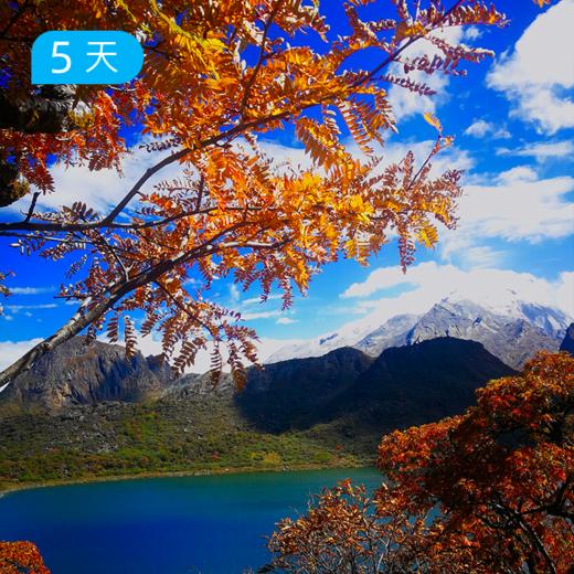 哈巴西坡，香格里拉小众徒步 5日 商品图3