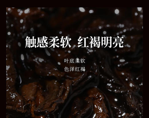 年迹·班章生态茶普洱茶（熟茶）2020焖泡装 商品图2
