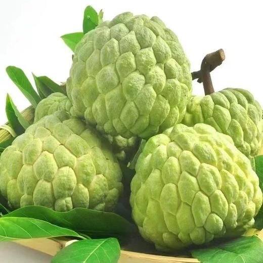 大目释迦果 果肉细腻如奶酪 商品图0